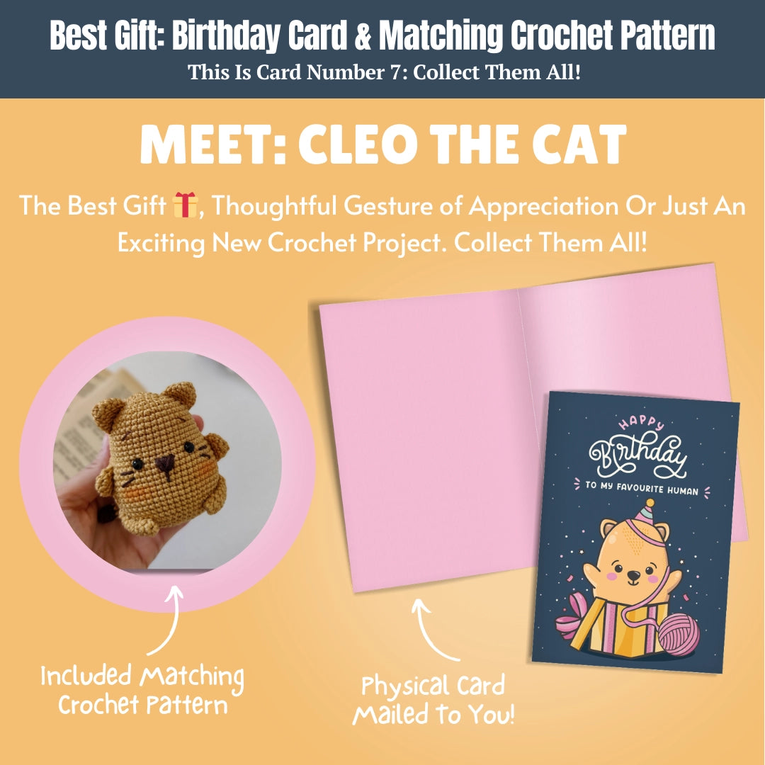 Birthday Card & Cat Crochet Pattern